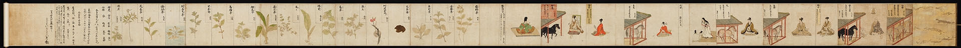 日本镰仓时代 马医草纸画卷纸本(东京)29×610.2