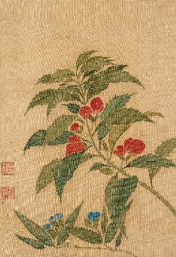 -023-清 蒋廷锡-花鸟册页5b