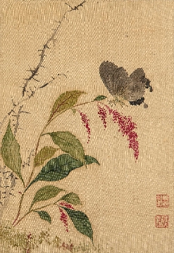 -023-清 蒋廷锡-花鸟册页9b