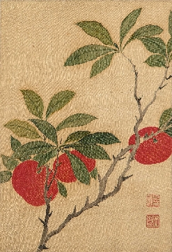 -023-清 蒋廷锡-花鸟册页10b