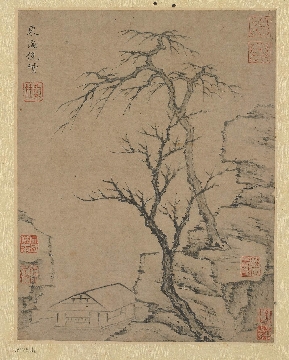 元 倪瓒 枯树图页纸本31x25