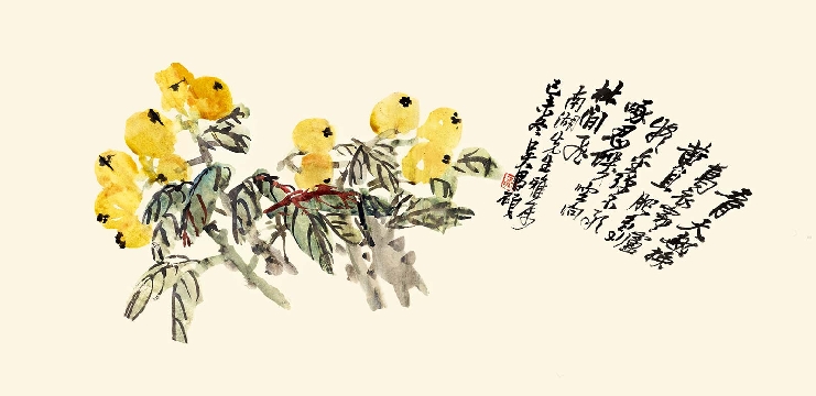清 吴昌硕 枇杷图纸本36x75
