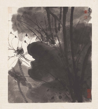 近_谢稚柳_花卉册页-07