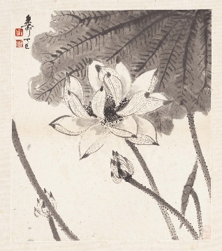 近_谢稚柳_花卉册页-11