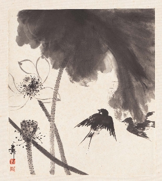 近_谢稚柳_花卉册页-13