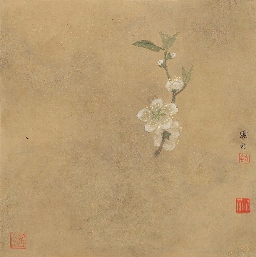 近_谢稚柳_花鸟册页_8开_纸本_27.5x27.5cm-02