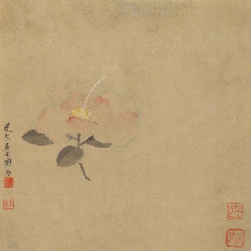 近_谢稚柳_花鸟册页_8开_纸本_27.5x27.5cm-04