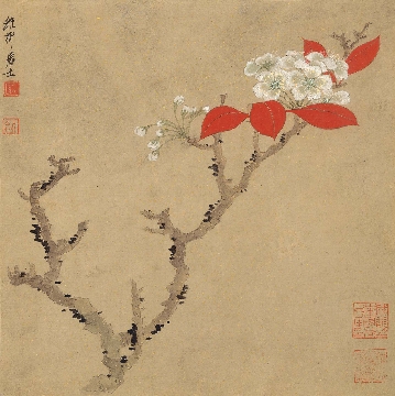 近_谢稚柳_花鸟册页_8开_纸本_27.5x27.5cm-05