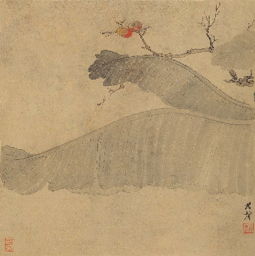 近_谢稚柳_花鸟册页_8开_纸本_27.5x27.5cm-06