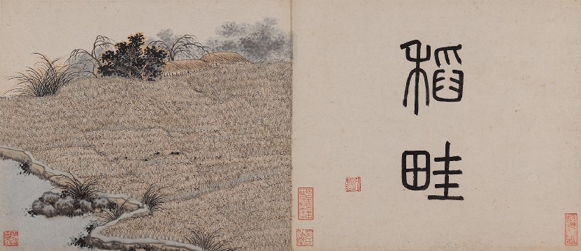 明_沈周_东庄图册_纸本_33x28cm-稻畦