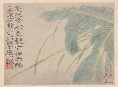 清 石涛 雨乡蕉叶图纸本63×47