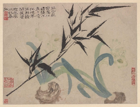 清 石涛 水仙竹枝图纸本63×47