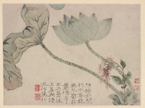 清 石涛 秋水荷叶图纸本63×47