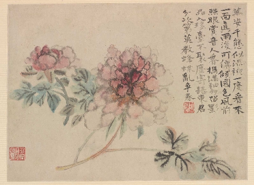 清 石涛 牡丹春图纸本63×47