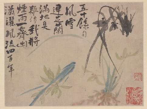 清 石涛 莲芝兰花图纸本63×47