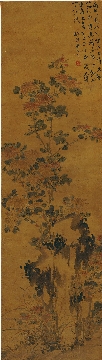 清 李方膺-菊石图立轴绢本45x160
