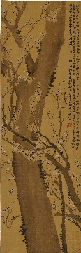 清 金农-梅树图立轴绢本41x130