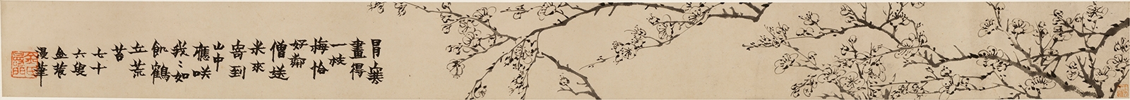 清 金农-寒梅一枝画卷21x240-1