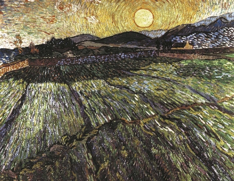 凡高 麦田