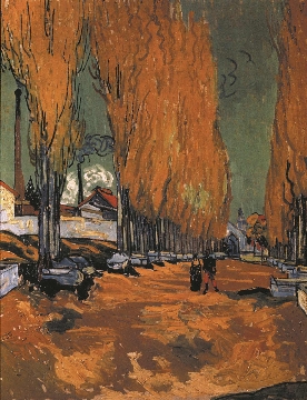 凡高 在阿思坎帕1888 93×72