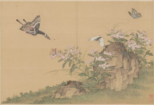 清_蒋廷锡_百蝶图_绢本_42X28cm-05