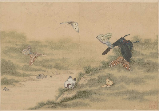 清_蒋廷锡_百蝶图_绢本_42X28cm-07