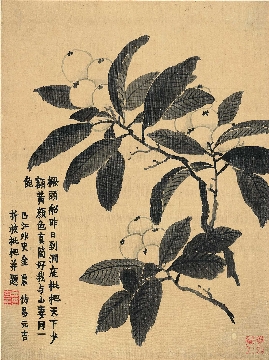 清_金农_八开-03