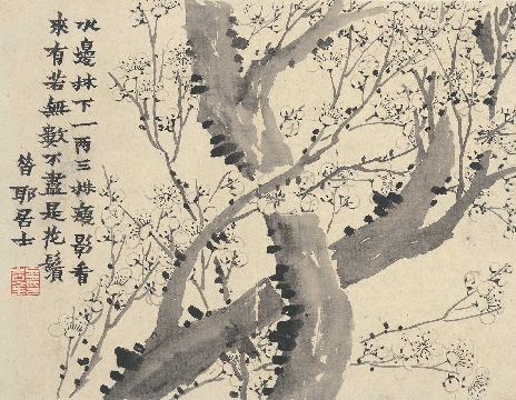 清_金农_梅花图-02