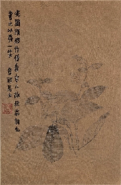 清_金农_书画图册_四开-03