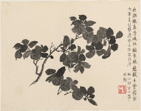 清_金农_杂画十二开-05