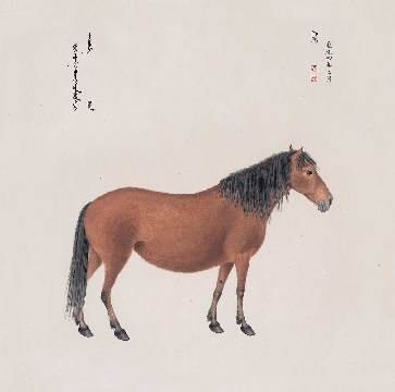 清_郎世宁_八骏图-02