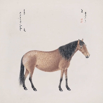 清_郎世宁_八骏图-04