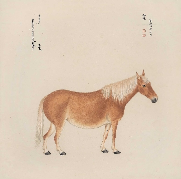 清_郎世宁_八骏图-07