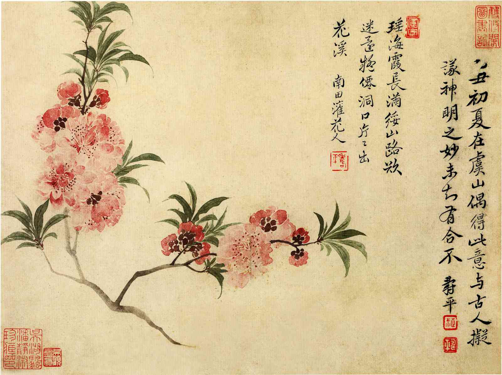 0037_清_恽寿平_山桃花图国画超高清大图原图扫描真迹全图书画图片下载