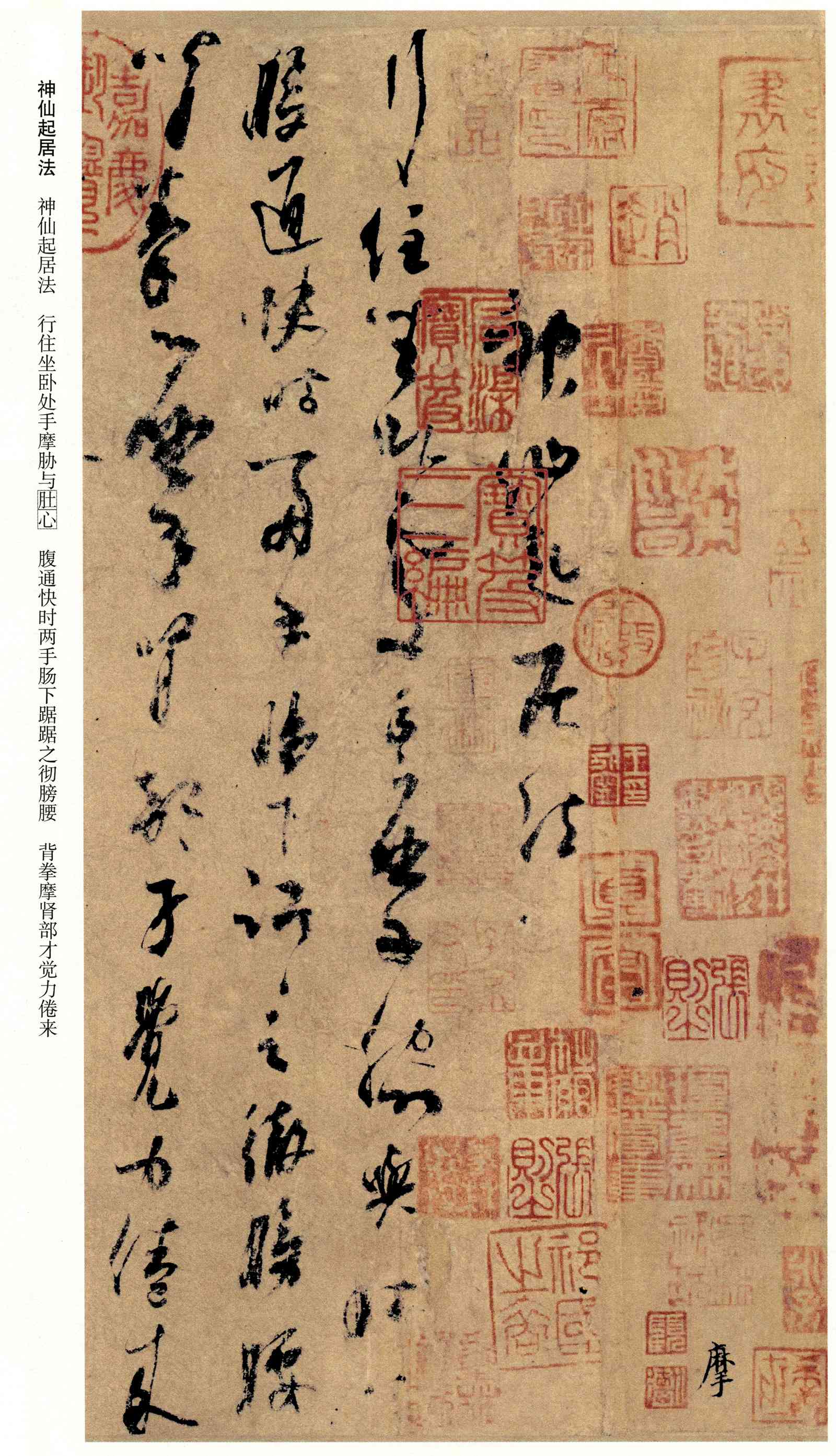唐杨凝式神仙起居法