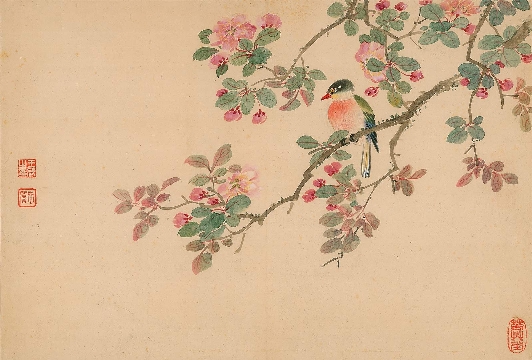 清 王武  花卉册页-01-03