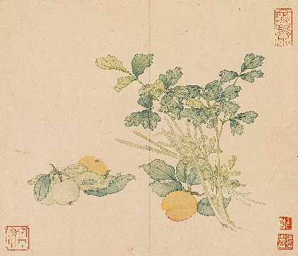 清 汪承霈－花卉杂蔬十二开