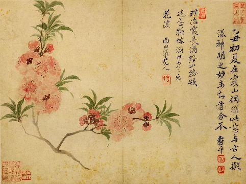 清_恽寿平_春花图册-04