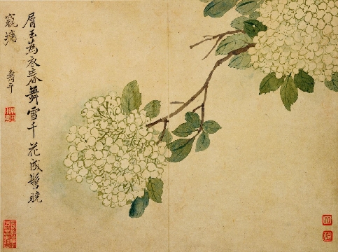 清_恽寿平_春花图册-07