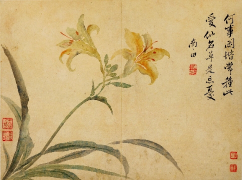 清_恽寿平_春花图册-08