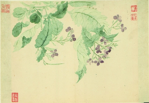 清_恽寿平_花卉图_9开-05