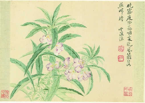 清_恽寿平_花卉图_9开-06