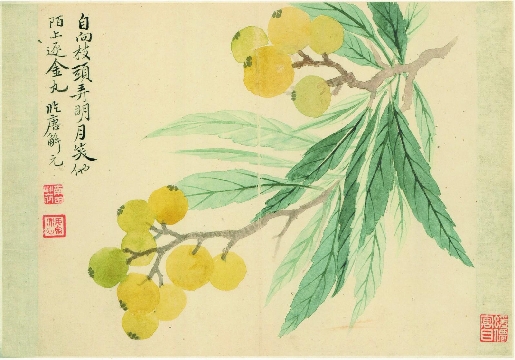 清_恽寿平_花卉图_9开-07