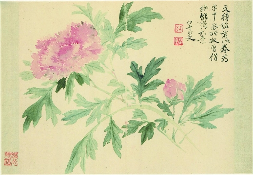 清_恽寿平_花卉图_9开-08