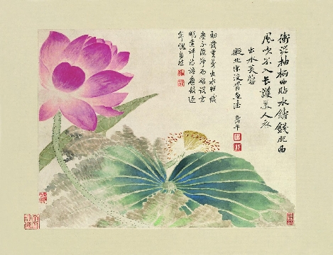 清_恽寿平_拟没骨画法_纸本_35X27cm-10张