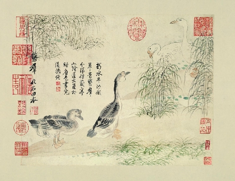 清_恽寿平_拟没骨画法_纸本_35X27cm-03
