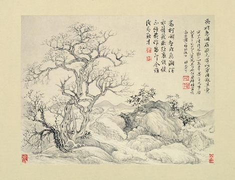 清_恽寿平_拟没骨画法_纸本_35X27cm-07