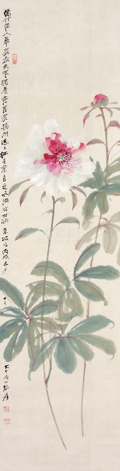 �Ŵ�ǧ ���� ���� ֽ����Ʒ����