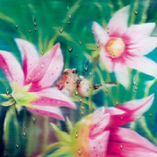 书画家【安卓】介绍|简介|作品拍卖价格书画艺