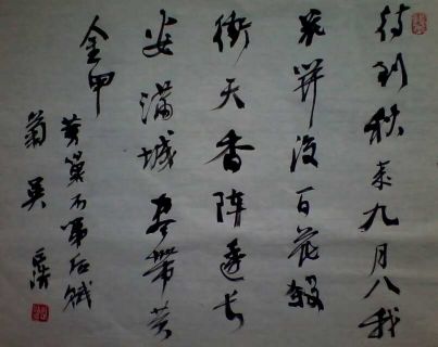咏菊